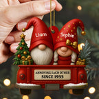 Annoying Each Other Since, Gnomes And Vintage Truck