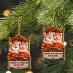 Growing Old Together, Santa And Mrs. Claus On A Swing