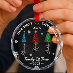 Our First Christmas As A Family Of Three, Christmas Trees