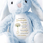 To My Beautiful Granddaughter, Sparkle And Shine With Love