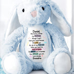 This Bunny Carries My Promise, Love You Forever