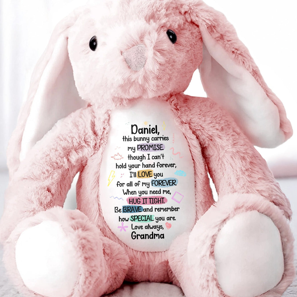 This Bunny Carries My Promise, Love You Forever