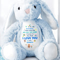To My Grandson, How Much I Love You Bunny