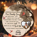 A Limb Has Fallen From Our Family Tree With Trees And Birds