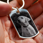 Best Friends Come Into Our Lives And Leave Pawprints On Our Hearts, Dog And Pawprints