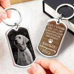 Best Friends Come Into Our Lives And Leave Pawprints On Our Hearts, Dog And Pawprints